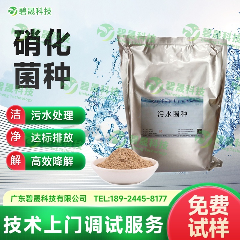 硝化菌种
